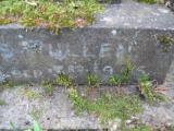 image of grave number 443532